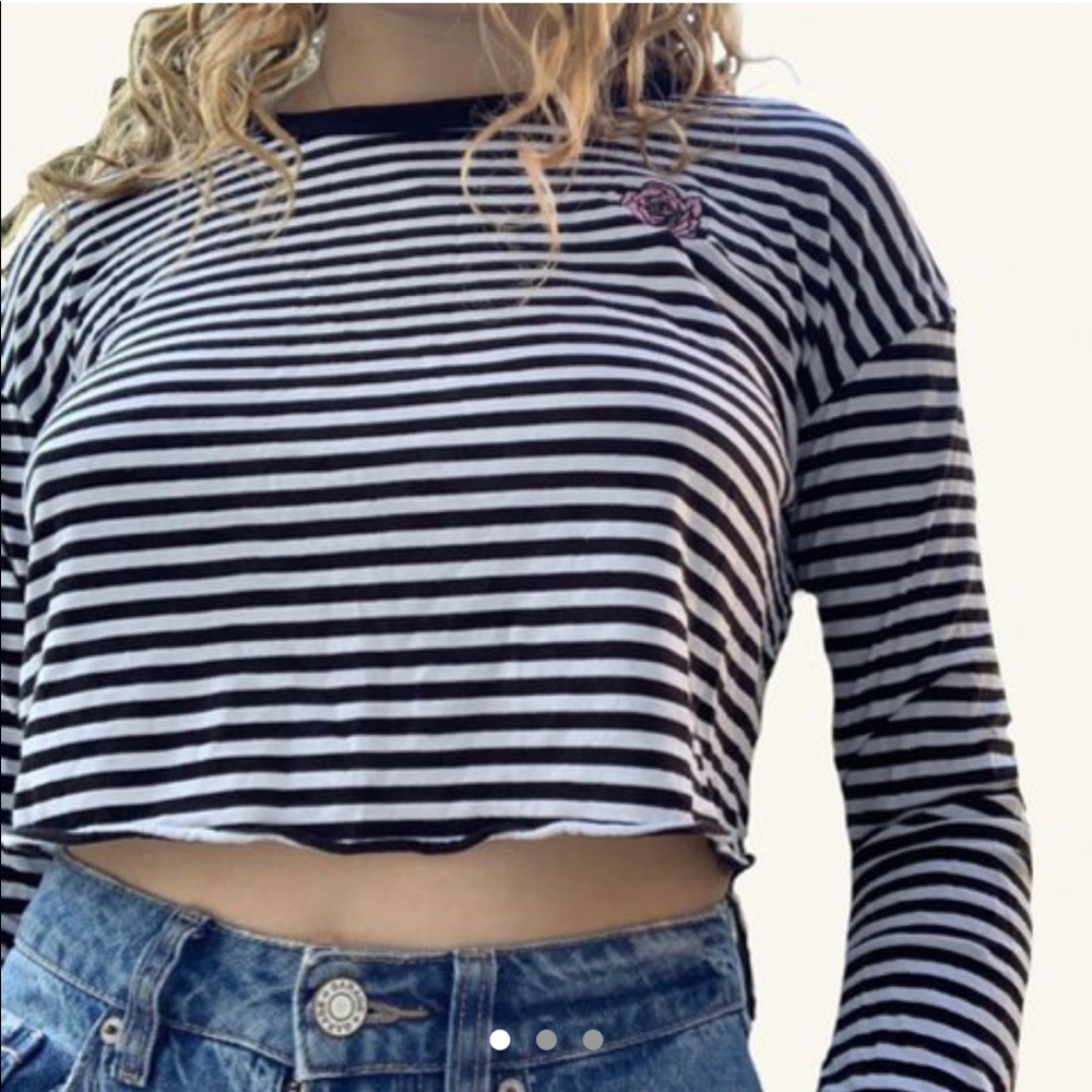 Garage Striped Crop Tee With Rose Embroidery